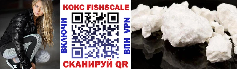 Cocaine Fish Scale  это состав  Курильск  закладка  MEGA ссылки 