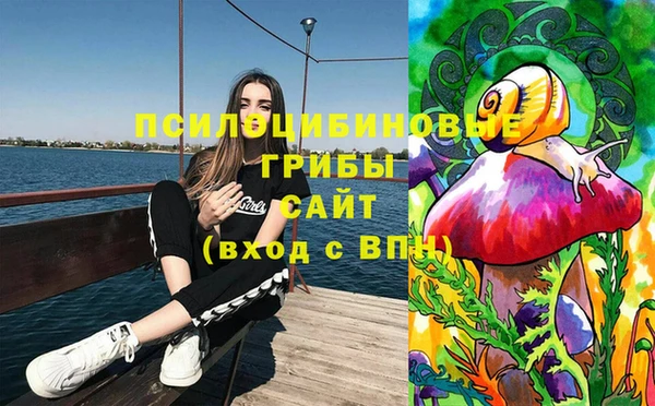 PSILOCYBIN Белоозёрский