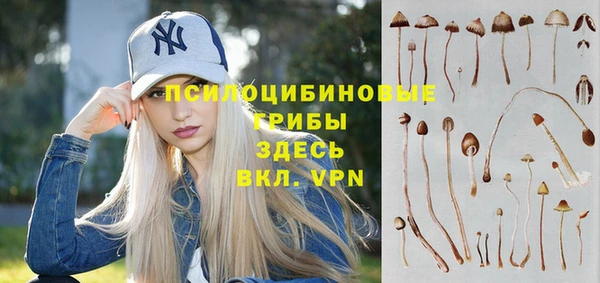 PSILOCYBIN Белоозёрский