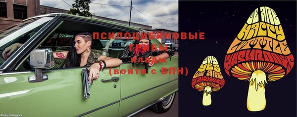 PSILOCYBIN Белоозёрский