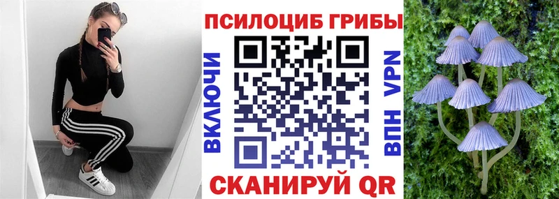 купить закладку  Курильск  Галлюциногенные грибы прущие грибы 