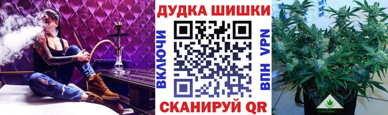Конопля MAZAR Курильск